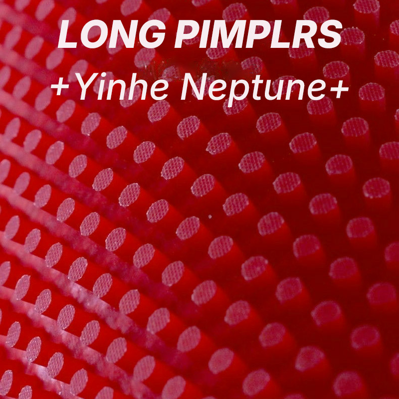 YINHE NEPTUNE Guma do tenisa s – Table Tennis Is Played With A recenzja i cena